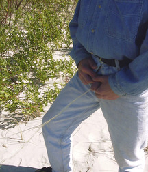 Cody 5ada9cb120962.jpg