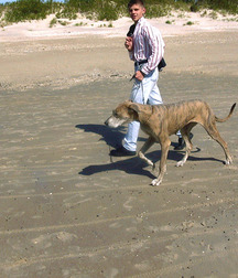 Cody 5ada9cb63458d.jpg