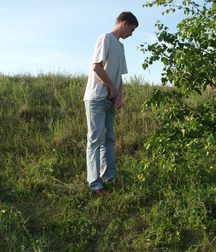 Denis 5adbcf493751c.jpg