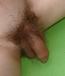 hot guys wrestling 5ade78c409ee5.jpg