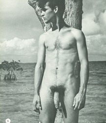 Fred 5af39fd701456.jpg
