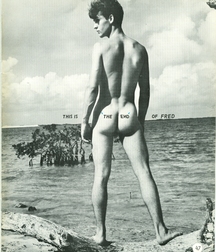Fred 5af39ff713e79.jpg