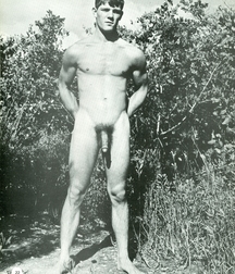 Paul 5af3a14a718ac.jpg