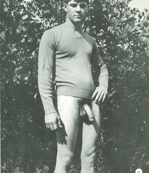 Paul 5af3a152495ac.jpg
