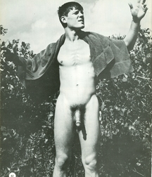 Paul 5af3a17a294cd.jpg