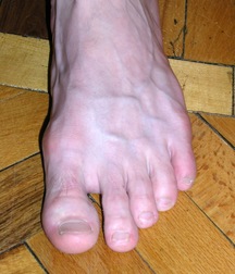 Scott 5af7a7d6a2c6a.jpg