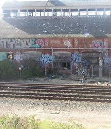 Skater sammy 5afa21cdcf709.jpg