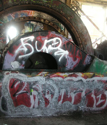 Skater sammy 5afa21d2d692c.jpg