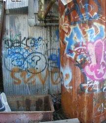 Skater sammy 5afa21d8db824.jpg