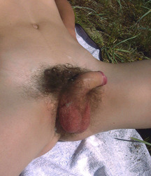 Cody 5b07ccfb6e45c.jpg