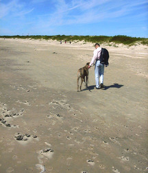 Cody 5b07cd02d8c8f.jpg