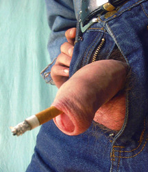 Cody 5b0cad4b9a84d.jpg