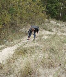 Denis 5b0cb3a83cc55.jpg