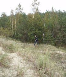 Denis 5b0cb3af19974.jpg