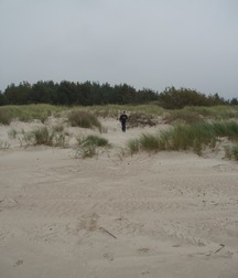 Denis 5b0cb3becf34a.jpg
