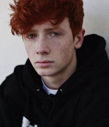 Gingers 5b10a98455c28.jpg