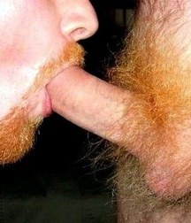 Gingers 5b10a99e89354.jpg