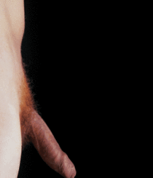 Gingers 5b15eb2714143.gif