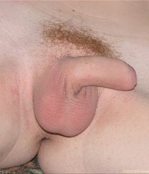 Kane  5b1b3ed6b5473.jpg
