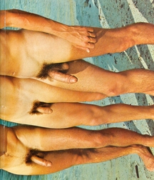 Vintage Nicky 5b3c3fc459bd8.jpg