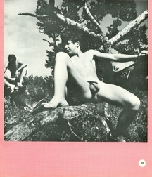 Vintage Nicky 5b3c4024f23b3.jpg
