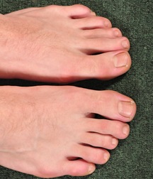 Shaun 5b3c439b32ae0.jpg
