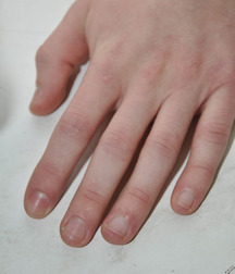 Trevor 5b3c48f6de356.jpg