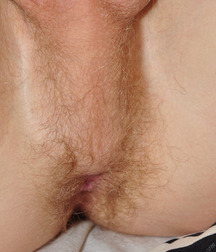Trevor 5b3c49b791090.jpg