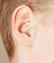Trevor 5b3c49cf6a3f3.jpg