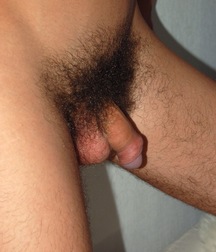 Jamey 5b3d363b22a9d.jpg