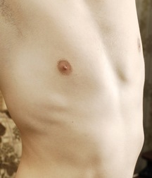 Albie 5b3d65710d0bc.jpg