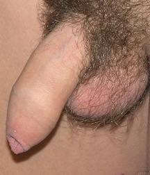 Mike 5b4e9c14aaa6d.jpg