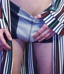 Knut 5b51431041fa8.jpg