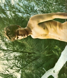Vintage Fred 5b52a7041103f.jpg