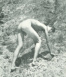 Vintage Fred 5b52a727c17a8.jpg