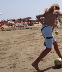 Beachboy 5b53f6c23bc03.jpg