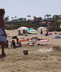 Beachboy 5b53f6cd4d651.jpg