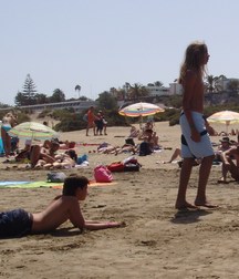 Beachboy 5b53f6cea0922.jpg