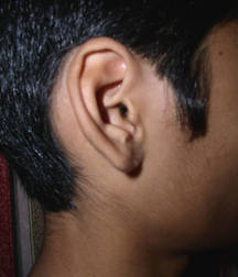 Kae 5b5d441539335.jpg