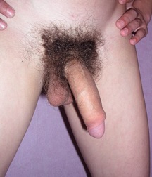 Marcus 5b6c08c618b01.jpg