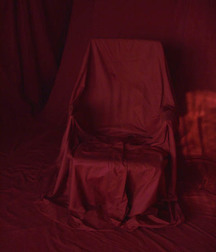 Cody 5b723350a4d52.jpg