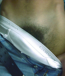 Ivo 5b7a8f7960150.jpg
