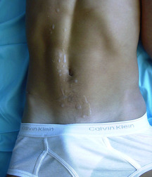 Ivo 5b7a8fbd5c021.jpg