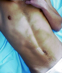 Ivo 5b7a8fc13f754.jpg