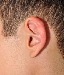 Rostic 5cb7e2ec55fad.jpg
