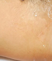 Rostic 5cb7e4536d197.jpg