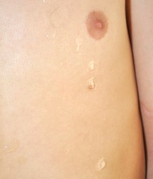 Rostic 5cb7e45c1acb5.jpg