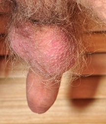 Gordey 5cb7e5ae7b2de.jpg