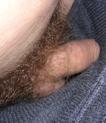 Grinja 5cbd163c10784.jpg