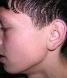 Grinja 5cbd164e98c3c.jpg
